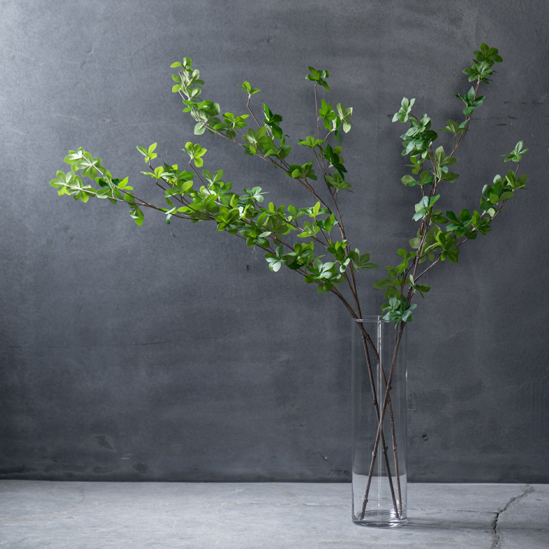 楽天市場】ドウダンツツジ フェイクグリーン インテリア おしゃれ 観葉