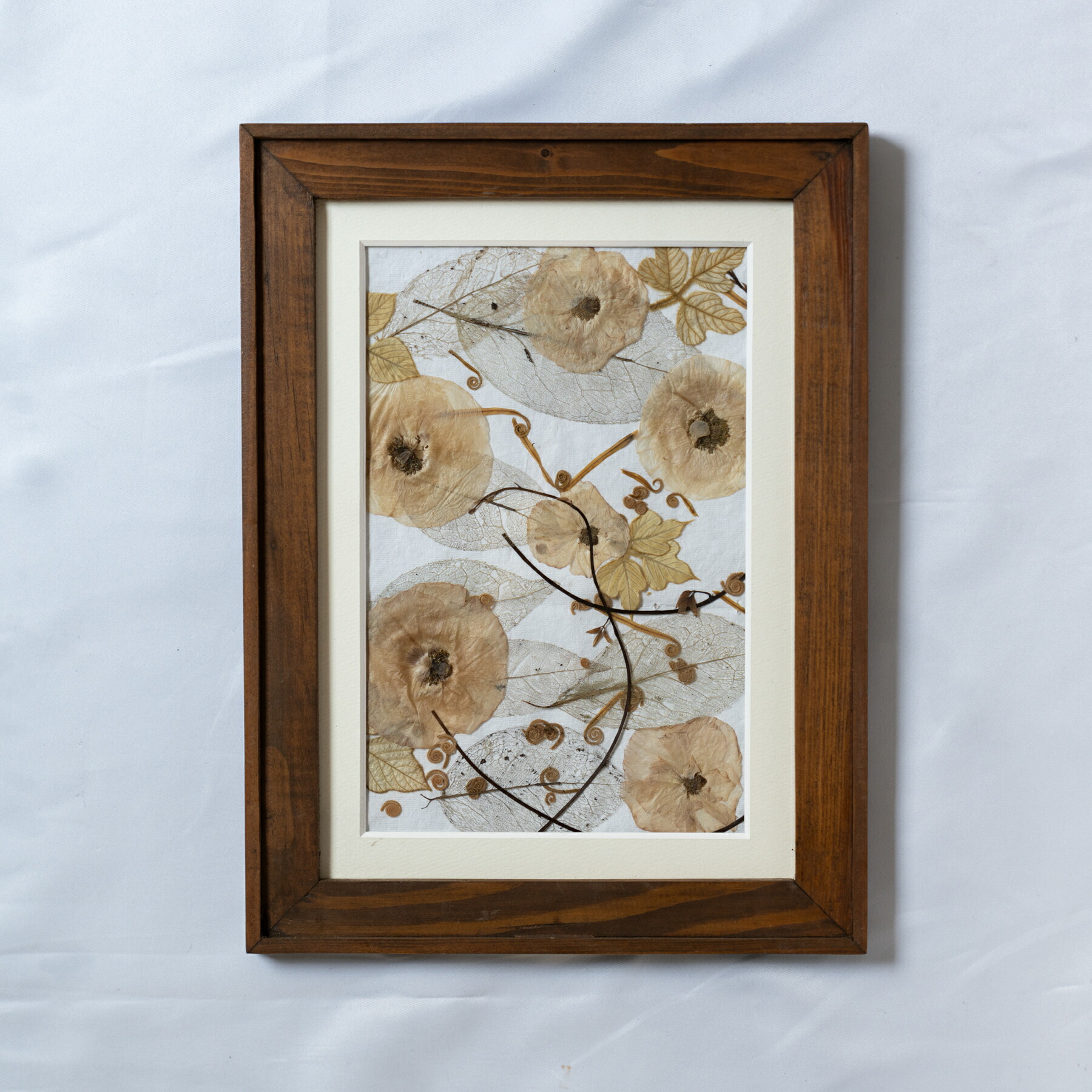 楽天市場】押し花フレーム カラフル プレスフラワー 押し花 フレーム