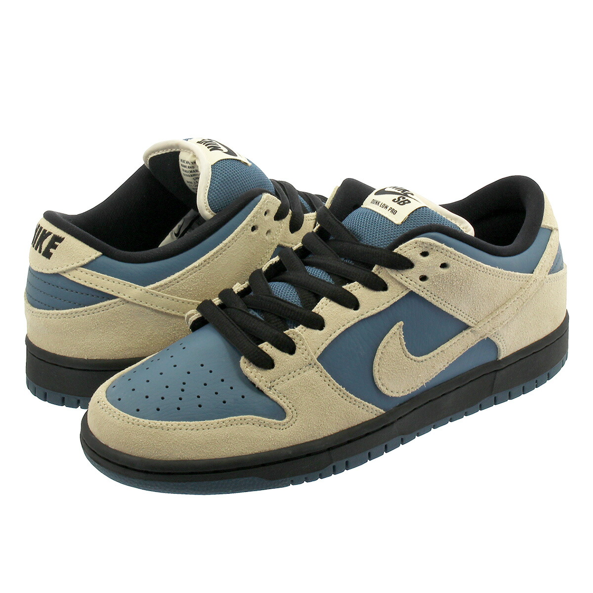 zoom dunk low pro