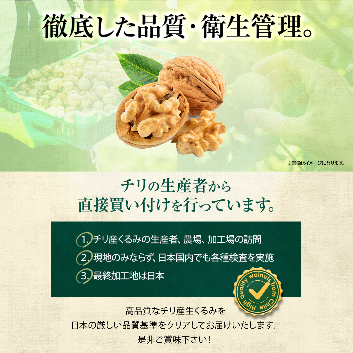 胡桃 くるみ クルミ 皮 樹皮 約1kg 日本で買 oticavoluntarios.com.br