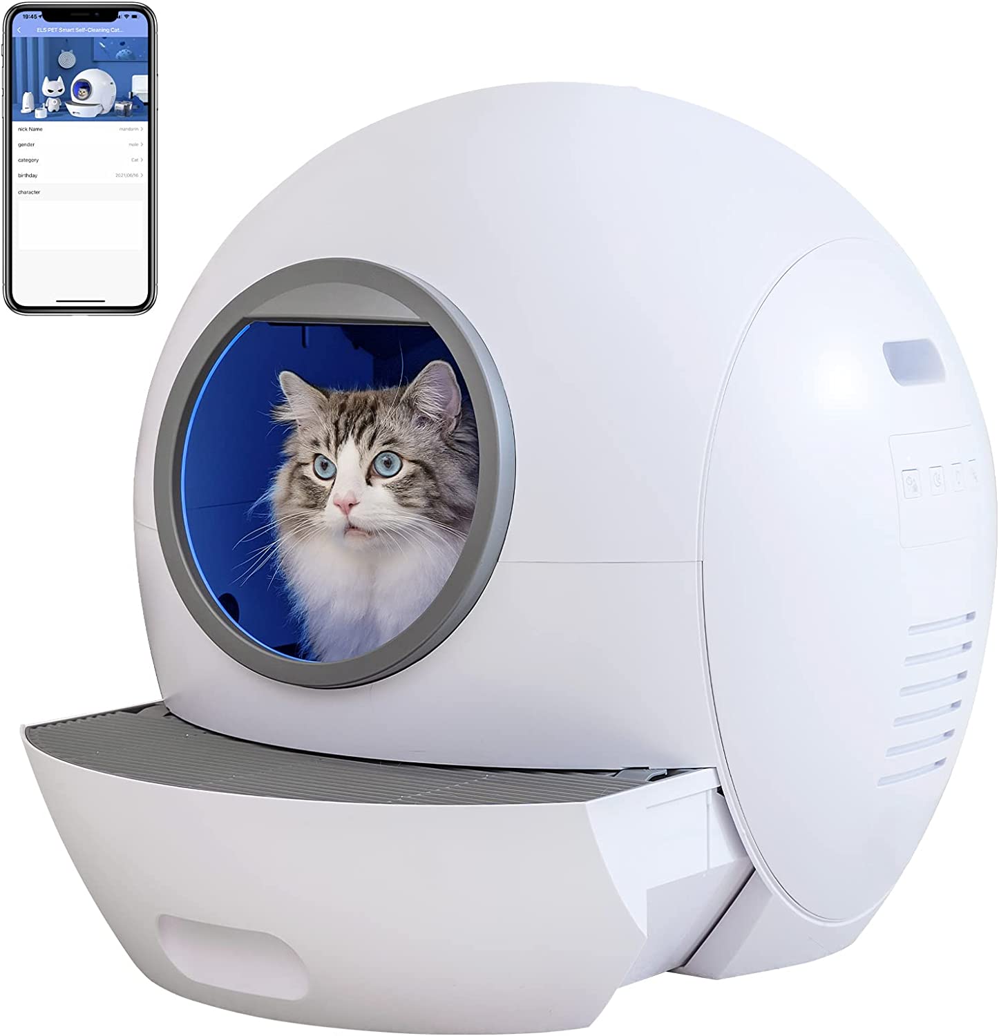 全自動小銃猫用室内用便器 大型 大静電容量 猫室内用便器 自動小銃 猫室内用便器 自動小銃洗い濯ぎ 定期自動小銃洗い濯ぎ 防疫除菌 消臭 飛び散り押しとどめる 低騒々しい音 多頭飼い 愛玩動物装置 自動小銃室内用便器 一人暮らし 新やって行く