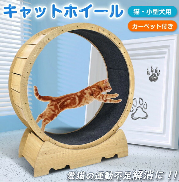 ＼猫手あそび度合い1位／キャットホイール 猫専用御部屋伝令 室内運動すること用 猫 8kgまで トレッドミル 猫 銀輪 巻き 自走式 御部屋伝令 回し車 ご覧になる車 安全性のある 運動すること 形づくる 手あそび 駈けっくら 小型犬 愛玩動物装具