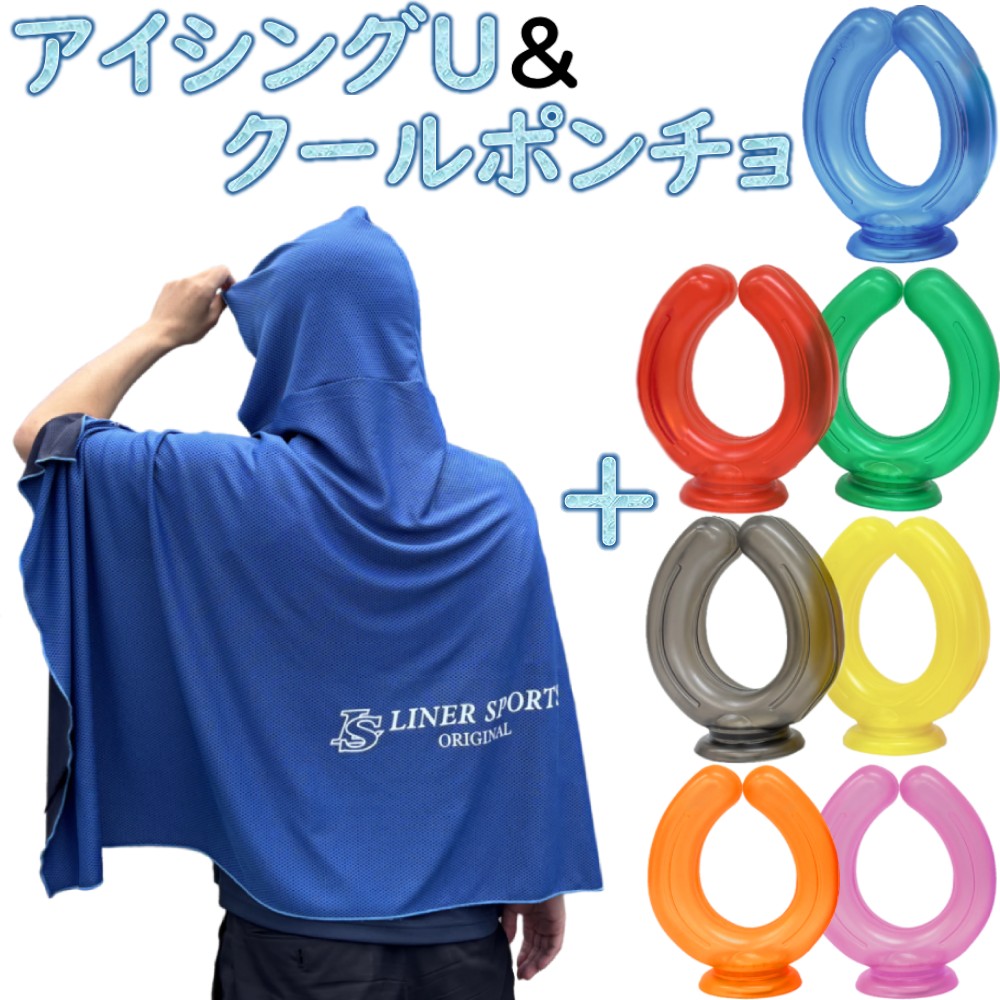 12/12迄　期間限定値下げ　超美品　ソフトボール用　キャッチャー防具セット 楽天市場】20％OFF ミズノ ソフトボールキャッチャー防具4点
