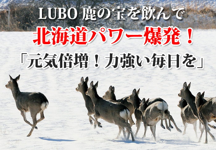 楽天市場 Luboえぞ鹿の宝 滋養強壮ドリンク 2本 エゾ鹿 健康ドリンク 北のジビエオリジナル商品 工場直販 北海道エゾ鹿肉使用 北海道えぞ鹿肉専門店 北のジビエ