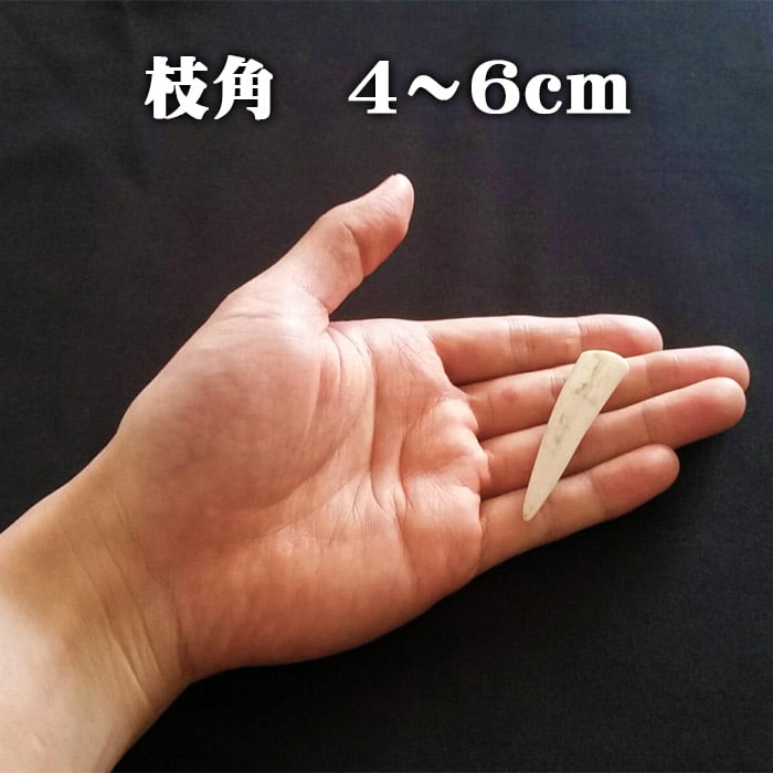 楽天市場】【鹿角】おまかせ 枝角 14cm～16cm 用途自由 ペット