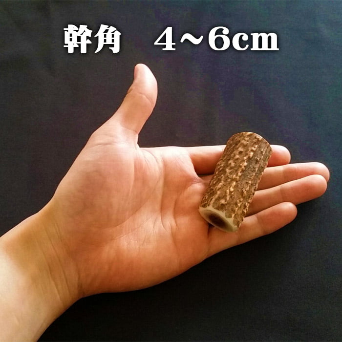 楽天市場】【鹿角】おまかせ 枝角 4cm～6cm 用途自由 ペットおもちゃ