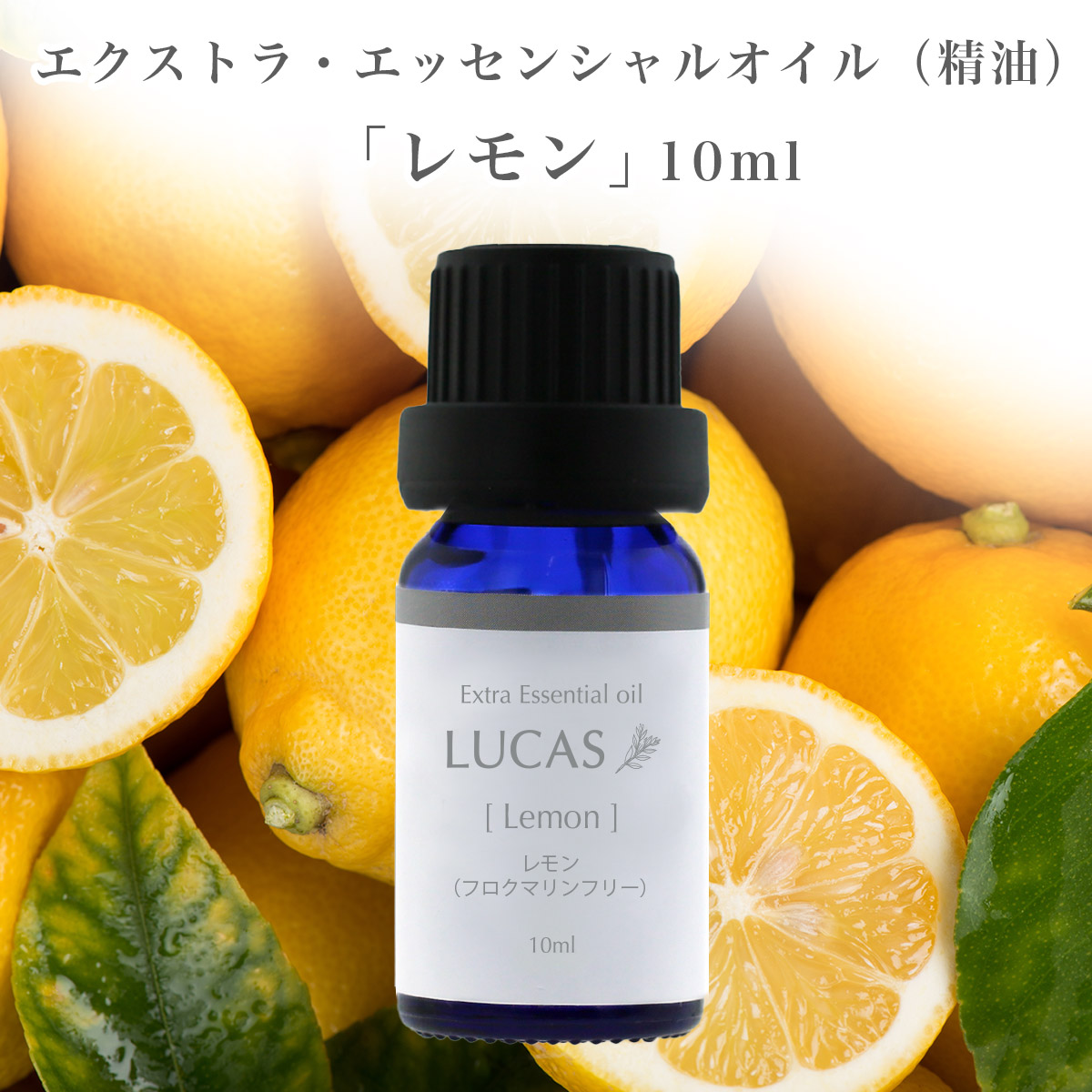 楽天市場】ホワイトセージ（ドライ） エッセンシャルオイル 10ml【浄化