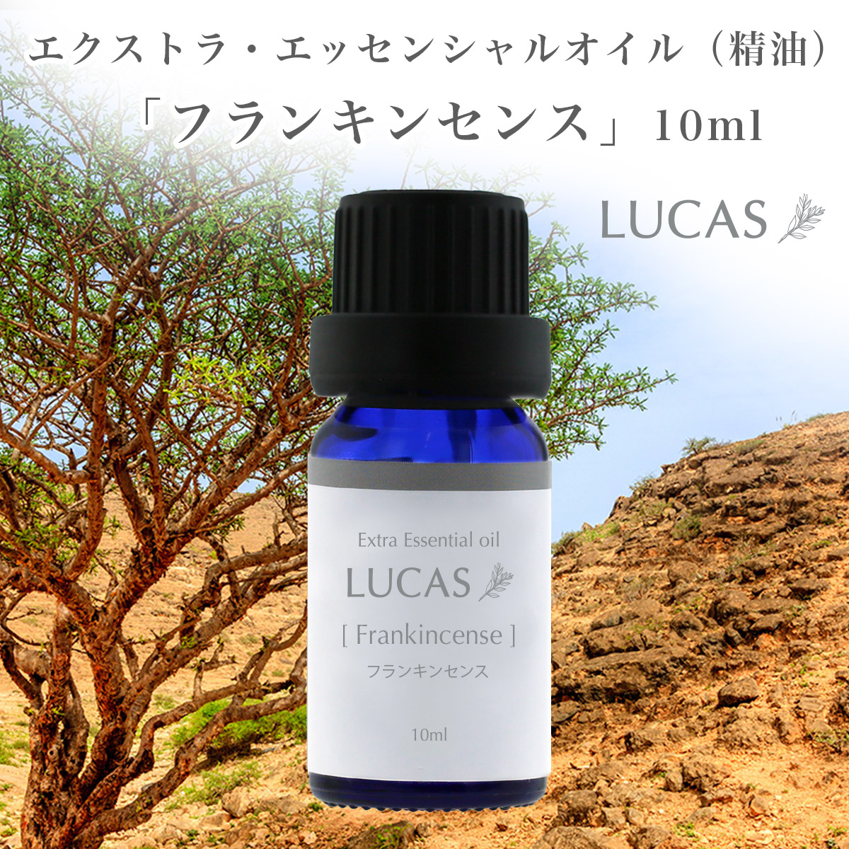 楽天市場】フランキンセンス エッセンシャルオイル 5ml【鎮静、深い