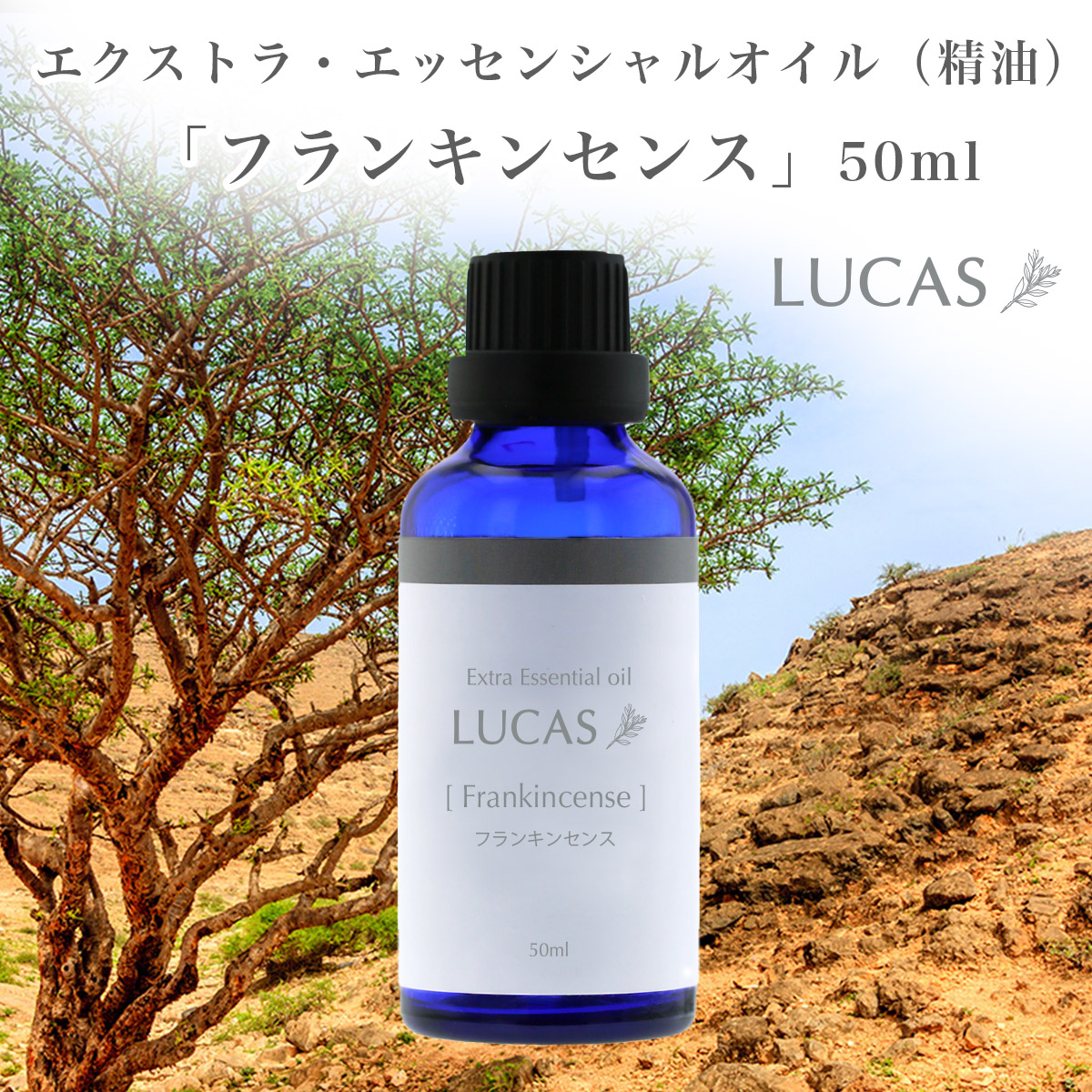 【楽天市場】フランキンセンス エッセンシャルオイル 10ml【鎮静