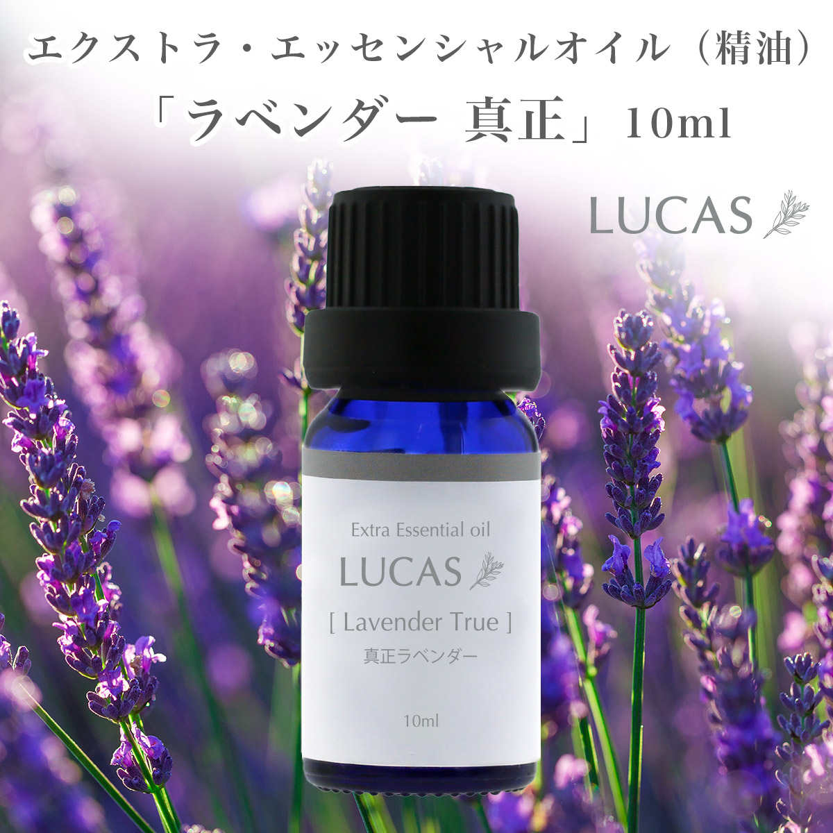 楽天市場】フランキンセンス エッセンシャルオイル 10ml【鎮静、深い