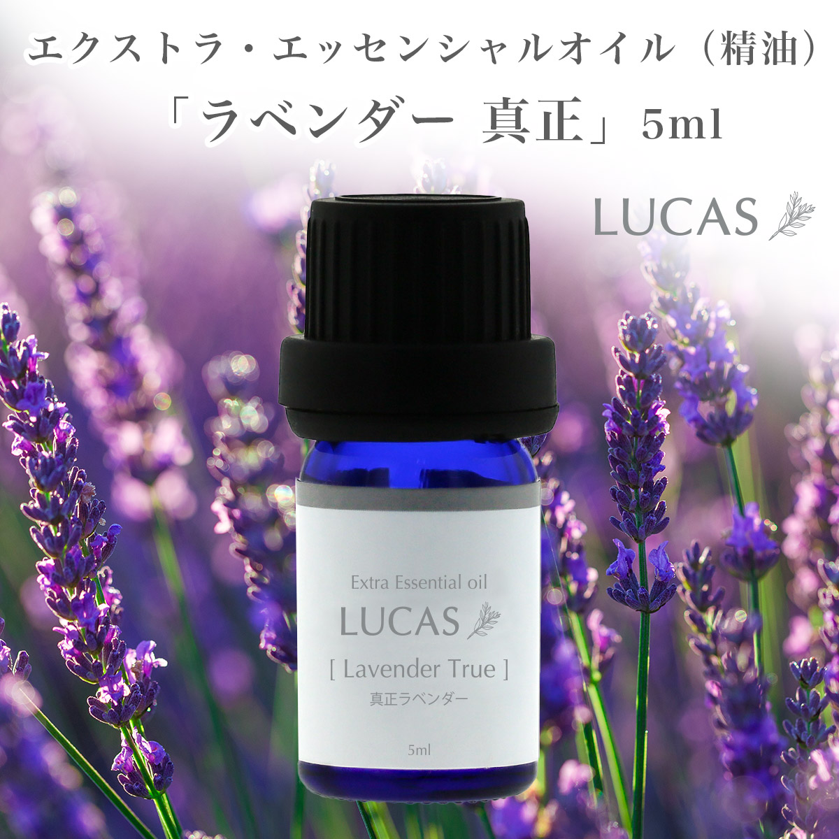 ラベンダー・フレンチ10ml(エッセンシャルオイル・精油