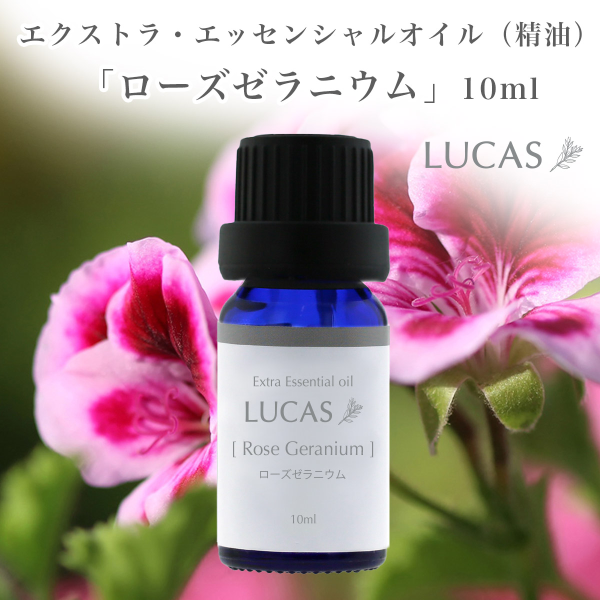 楽天市場】ホワイトセージ（ドライ） エッセンシャルオイル 10ml【浄化