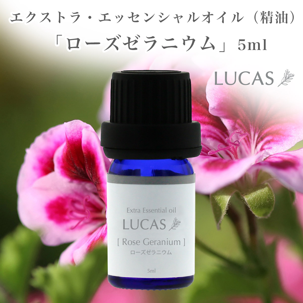 楽天市場】フランキンセンス エッセンシャルオイル 10ml【鎮静、深い