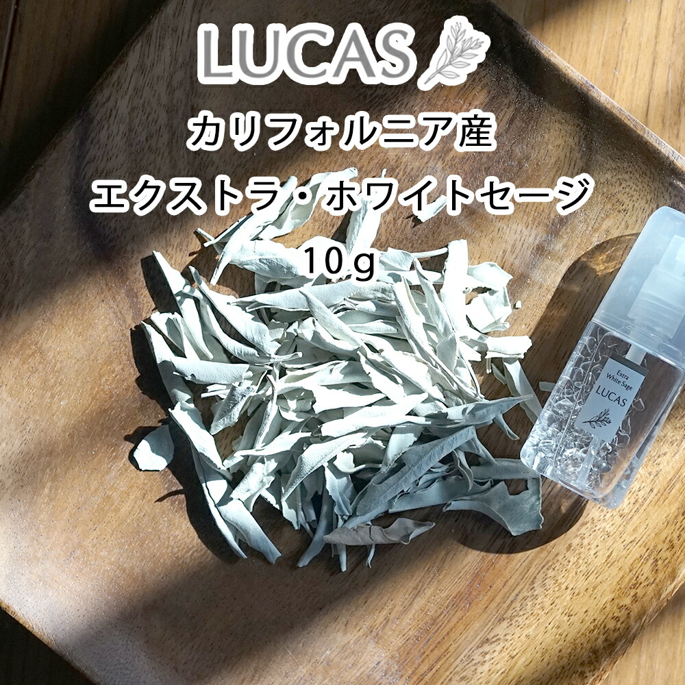 ホワイトセージ リーフ 10g浄化 スマッジング 瞑想 ヨガ エクストラ LUCAS ルカス （訳ありセール