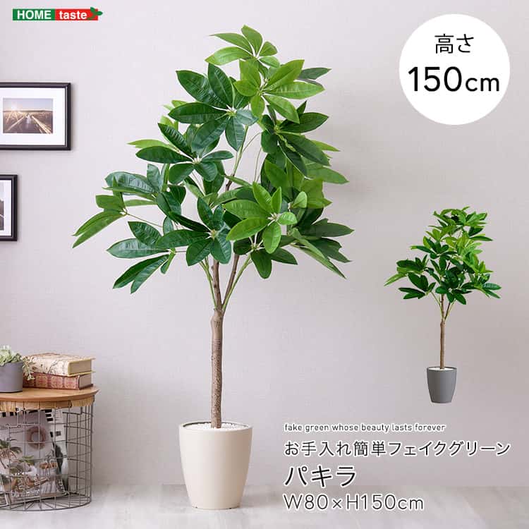 お手入れ簡単フェイクグリーン　パキラ　Mサイズ(150cm)｜ルフト