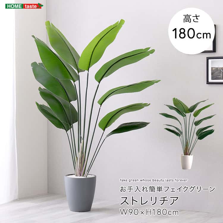 お手入れ簡単フェイクグリーン　ストレリチア　Lサイズ(180cm)｜ルフト 16,167円
