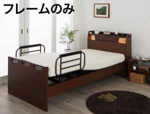 取り引き先精神的な統合 棚・点火装置・差し込み付き添い人電動寝台 寝台ひな形のみ 2原動機 シングル
