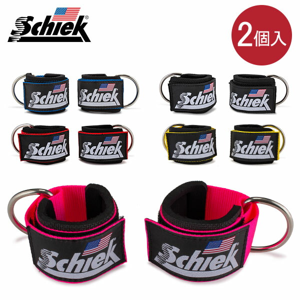 schiek/ゴールドジム　トレーニングセット Schiek（シーク） 3004 パワーリフティングベルト【Sサイズ入荷