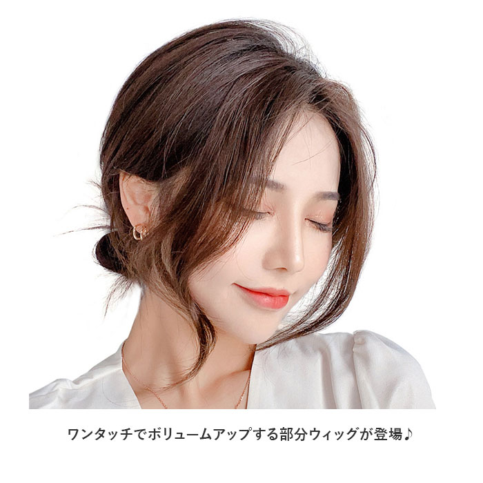 前髪ウィッグ 人毛 定番 人毛ウィッグ 前髪ウイッグ つけ毛 女性 自然