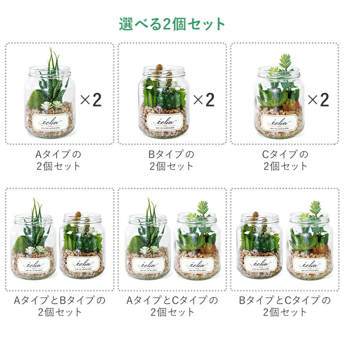 楽天市場 観葉植物 フェイクグリーン 定番 消臭アーティフィシャルグリーン 2個セット Ct触媒 おしゃれ 小さい Eclia エクリア インテリアグリーン ラウンドポット キャニスター 人工植物 インテリア 枯れない コンパクト 玄関 靴箱 卓上 デスク 机 ガーデン 造花