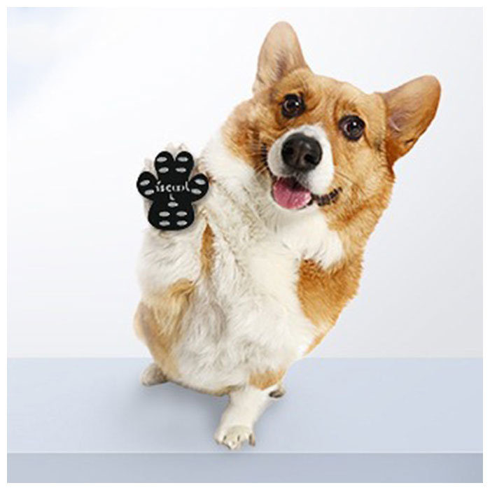 市場 ペット 足 肉球シール 散歩 老犬 肉球ケア ペットシール 定番 滑り止め いぬ 犬 超小型犬 シニア犬 シール