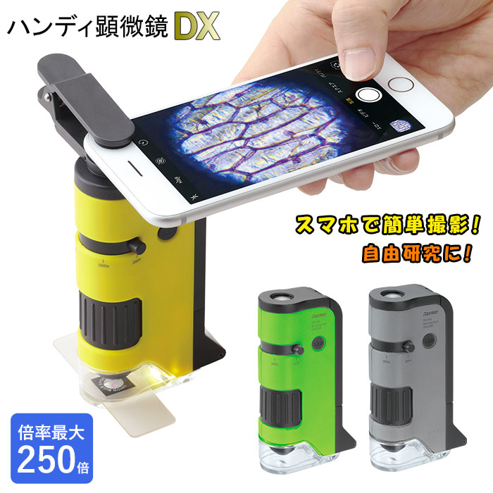 92%OFF!】 グリーン スマホ撮影対応 RXT150M petit ハンディ顕微鏡 20倍ズーム Raymay レイメイ