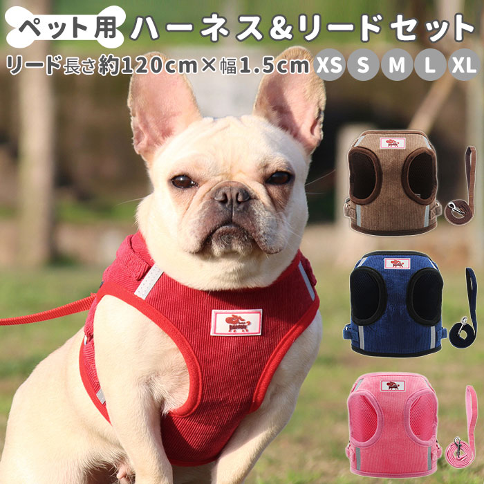 楽天市場 犬 リード ハーネス セット 定番 小型犬 胴輪 ドッグウェア 中型犬 ハーネスリード お散歩 服 イヌ 犬用 散歩 可愛い かわいい おしゃれ ペットグッズ ペット用品 Backyard Family 雑貨タウン