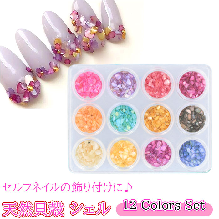 ネイルパーツ シェル 定番 シェルフレーク クラッシュシェル ジェルネイル 天然貝 極薄 パーツ ネイルケア 新作製品 世界最高品質人気 ネイルジュエリー レジン セルフネイル ネイルアート おしゃれ ネイルツール グッズ ネイル用品