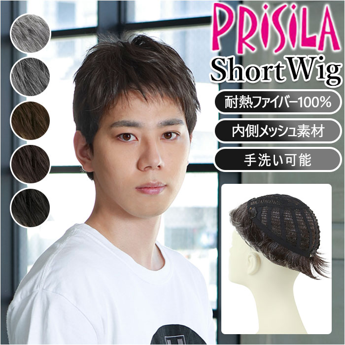 PRISILA プリシラ メンズ 部分ウィッグ 部分ウイッグ 定番 カバーピース ヘアピース 部分かつら かつら ウィッグ ウイッグ つけ毛 メンズウィッグ 五分ウィッグ 5分ウィッグ 五分ウイッグ 5分ウイッグ レイヤーショート 男性用 伸縮性 通気性 安定感 フィット 自然｜BACKYARD FAMILY 雑貨タウン