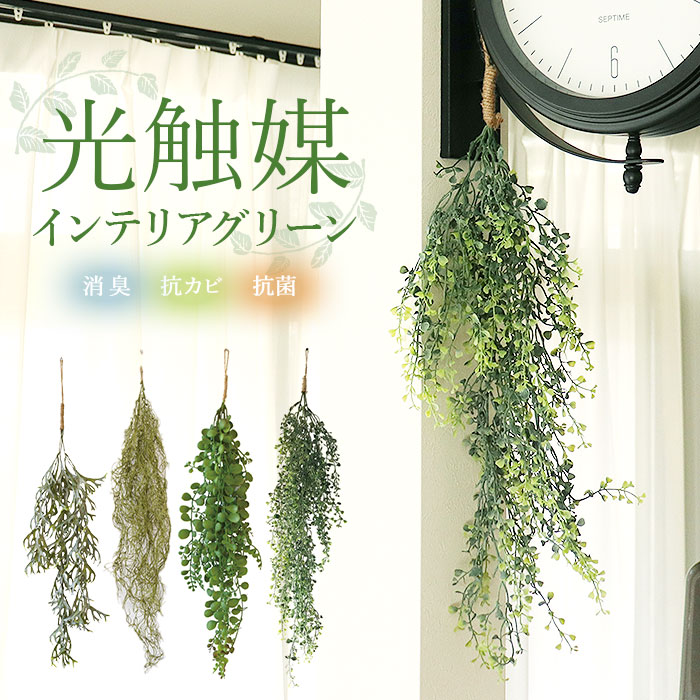 楽天市場】光触媒 フェイクグリーン 通販 観葉植物 フェイク