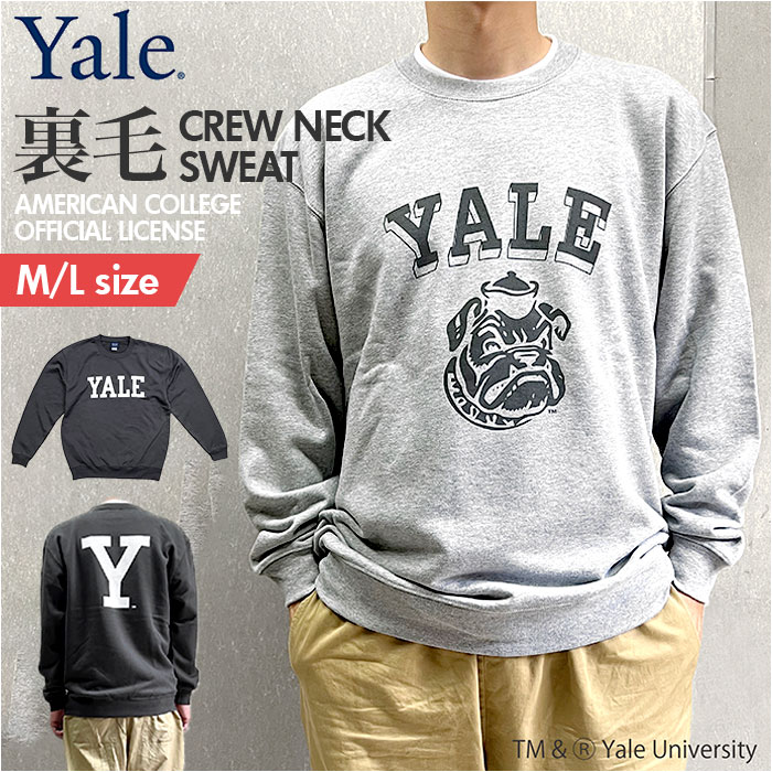 yalesweat.jpg