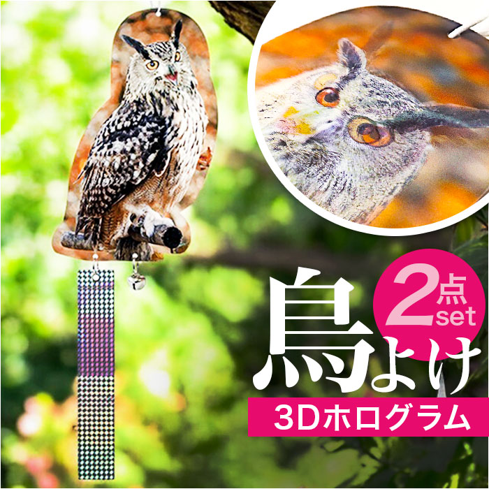 真昼のふくろう 初版 帯付き Amazon.co.jp: 開運 茶 フクロウ (高さ約14.5cm)牛鈴首掛付