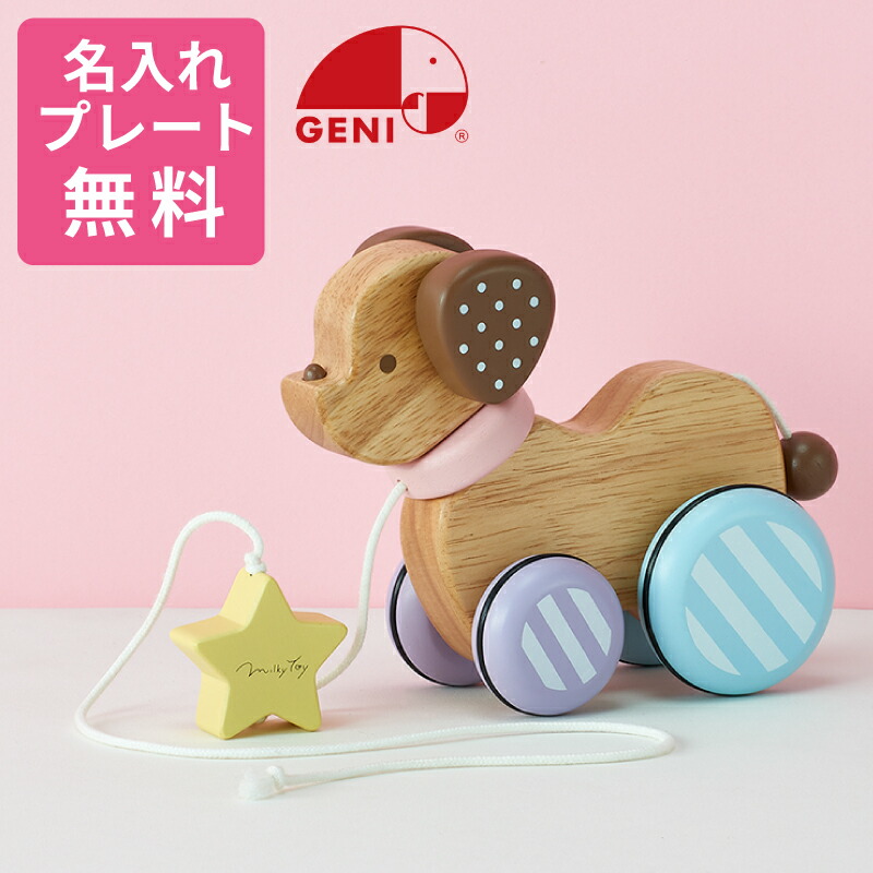 【 送料無料 】エドインター NIHON 木製玩具 まとめ売り エド・インター (レビュー特典あり) エドインター ジェニ NIHON