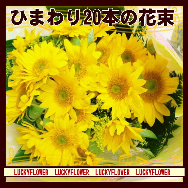 楽天市場】切り花 ひまわり 5本 お色おまかせ 生花 切花 向日葵