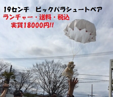 楽天市場 送料無料 パラシュートベア 2匹 サプライズ 結婚式 チャペル 新しい演出 ブーケトス ゲスト参加 ゼクシィ バズーカ フラワーシャワー ブロッコリートス ウエディングサロンls