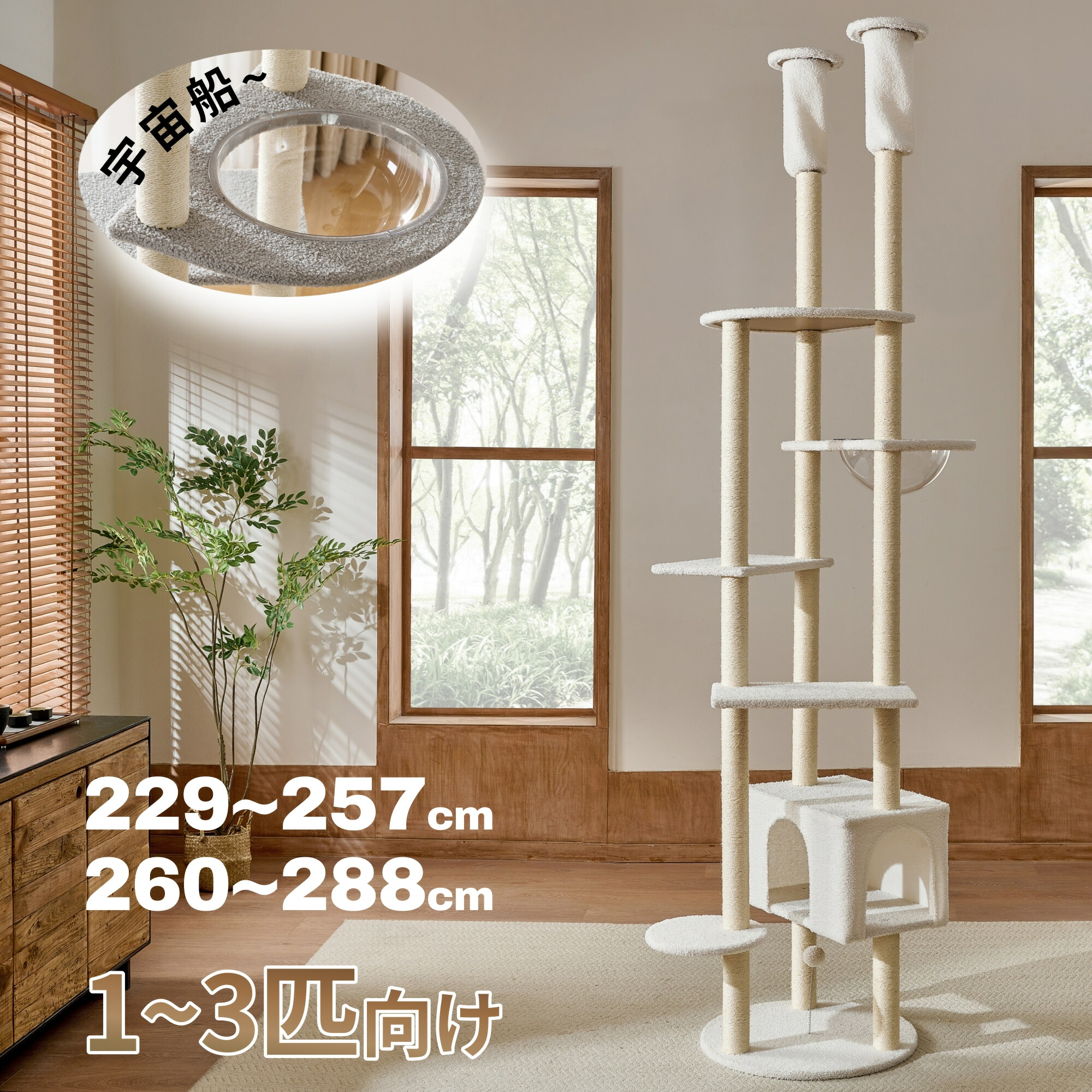 楽天市場】キャットタワー 突っ張り おしゃれ CCCT-4060T アイリス