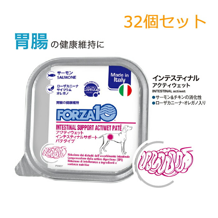 【32個仕掛ける】犬用 治療法食 フォルツァ10 アクティウェット インテスティナル FORZA10 100g 胃の腑受け支える 御役目用 まとめ買い