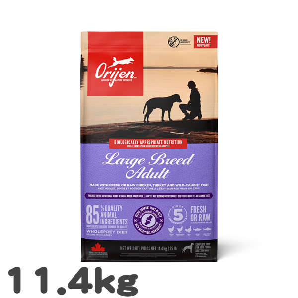 犬用 ドッグフード オリジン ラージブリードアダルト ORIJEN 11.4kg 大型犬 成犬用 高タンパク グレインフリー プレミアム 大容量|ラッキーペット