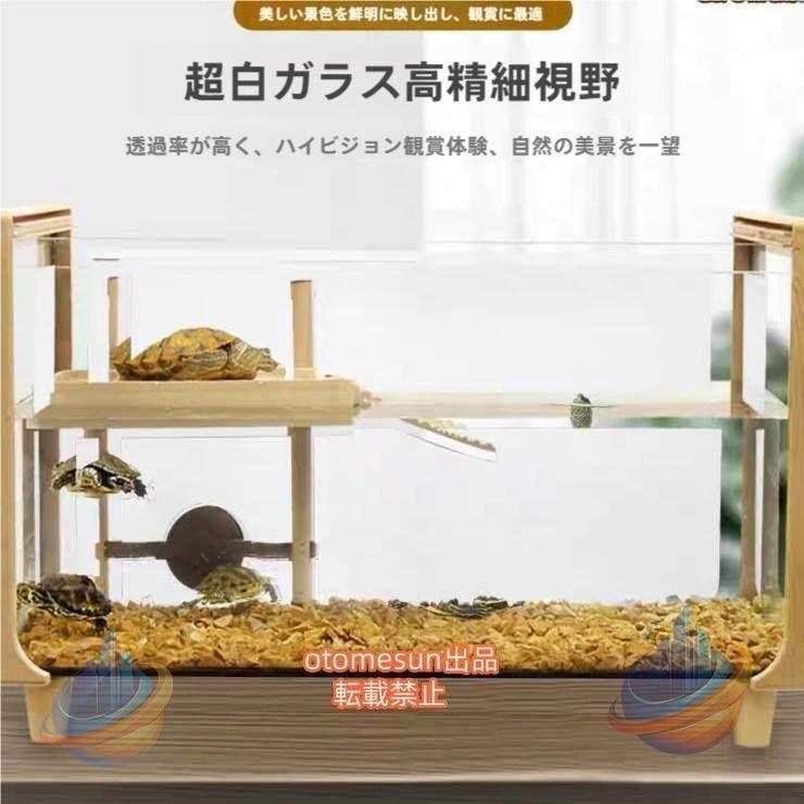 亀海洋博物館大層らしいガラスボックスカメの海洋博物館タートル貯蔵タンク水抜き管付き添い人日光浴台ハ虫類両棲類付属物繁殖容れものカメ御出でになる地亀見ること繁殖