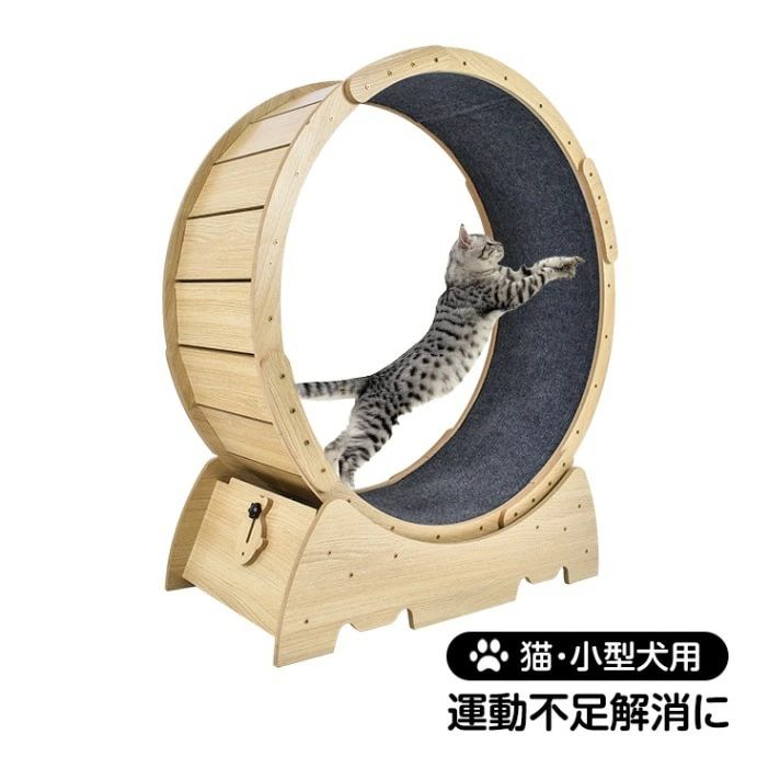 キャットホイール 猫 駈けっくら車輪 愛玩動物車輪 ストッパ一付き添い人 自走式 運動すること不完全さ差し止める 食事制限 低耳障りな音 疵ぐち押しとどめる 小型犬 猫