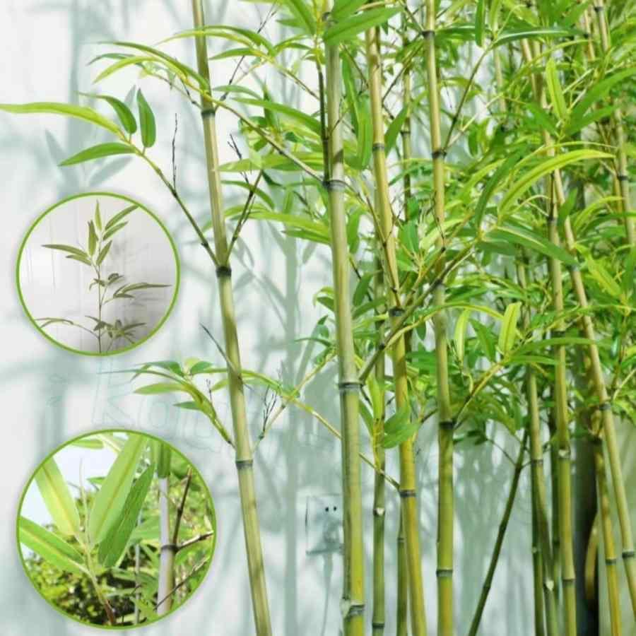 包みかくし駒寄せ 竹駒寄せ ガーデニングフェンス人工観葉草木 笹竹コンピューターシミュレーション竹 屋内外兼用 人工草木 中仕切り 御部屋 間仕切り 生やさしい