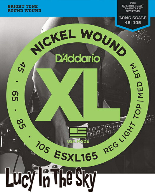 SALE／71%OFF】 D'Addario ダダリオ ベース弦 ダブルボールエンド Nickel Wound Bass #ESXL165  .045-.105 whitesforracialequity.org