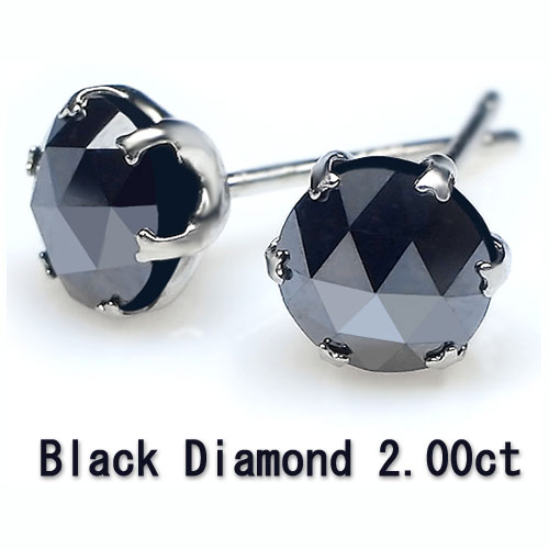 楽天市場】即日発送【グレードup即日発送不可】【大特価】【芸能人