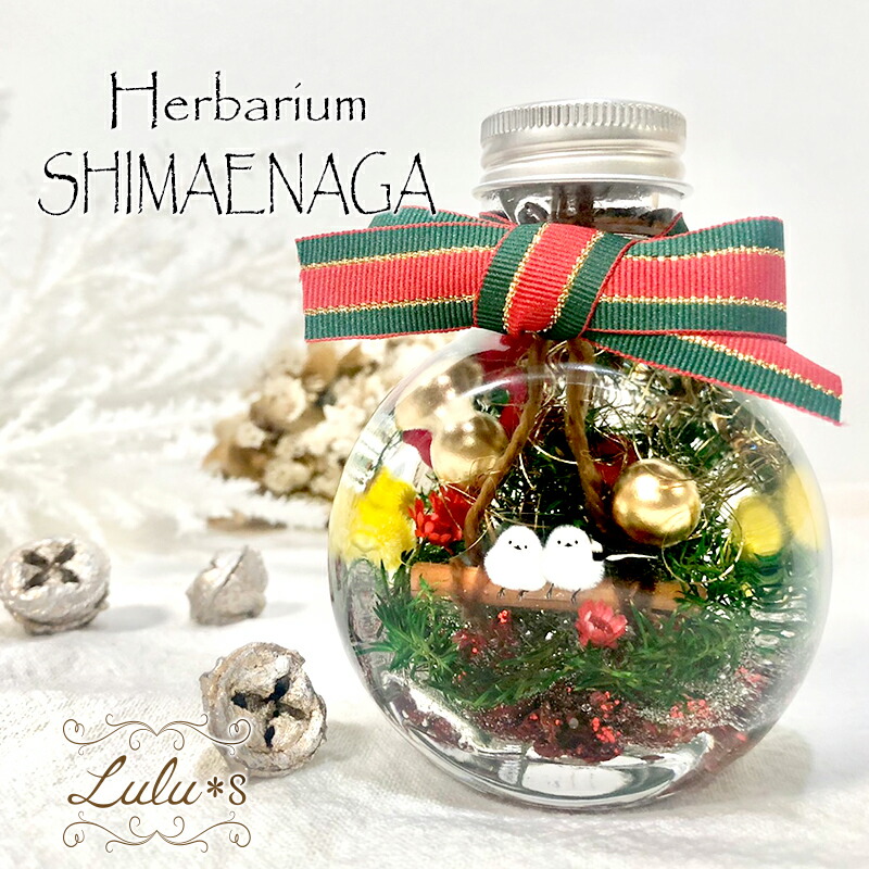 クリスマス 飾り シマエナガ ハーバリウム 【クリスマス限定】 雪の妖精 プリザーブドフラワー 置物 卓上 ミニ ツリー インテリア 雑貨 玄関 かわいい Xmas プレゼント ギフト 女性 子供 Lulu＊s ルルズ