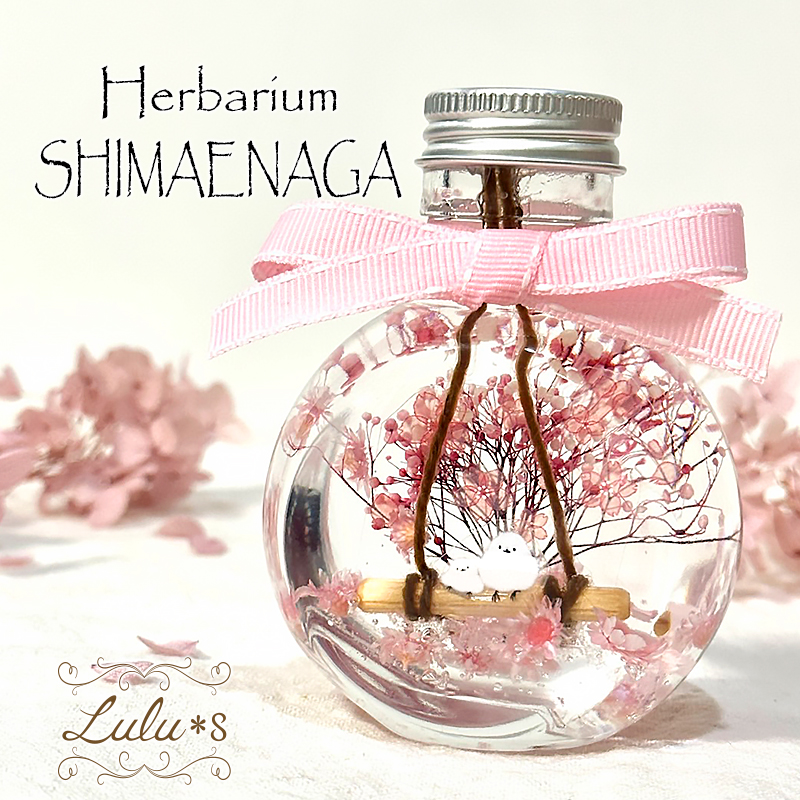 楽天市場】桜の木 ハーバリウム 春 さくら サクラ 桜 さくらの木 角 