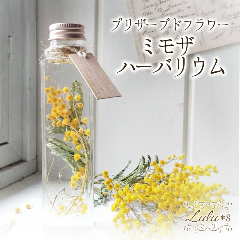 楽天市場】ドライフラワー ミモザ スワッグ ミニ 花束 ブーケ 壁掛け