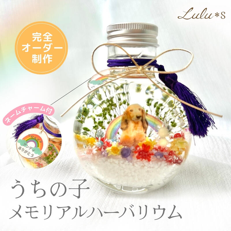 虹の橋 うちの子メモリアル ハーＢａ 愛玩動物 お自責の念 花 お供え プリザーブドフラワー 素っ気ない御花 好いたらしい 生まれ落ちる日 差し上げ物 差し上げ物 愛玩動物お悔やみ お花 愛玩動物のお供え 愛玩動物のお悔やみ ペットメモリアルグッズ 愛玩動物お供え御花 ハーバリウムプレゼント