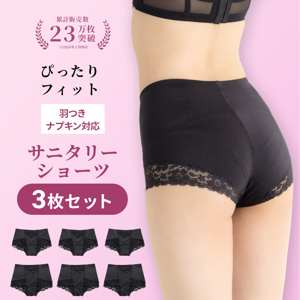 サニフレア M 3lまで対応 累計販売枚数23万枚突破 昼用 羽つき対応 フィット感抜群 お腹周りを抑える 足周り快適 シンプルで響きにくい 肌に優しい 満足度94 ヒップハング フルバック 最大90 オフ