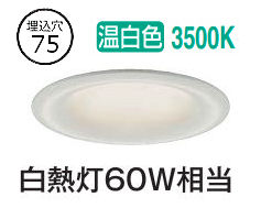 楽天市場】大光電機 ダクトレール用スポットライト DSL4901AWG : 照明