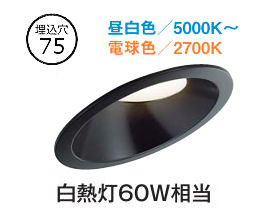 大光電機 ダウンライト DDLCD024B 調光調色 信号線不要タイプ Φ75 白熱灯60W相当 工事必要